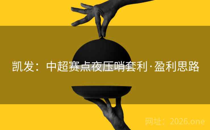 凯发：中超赛点夜压哨套利·盈利思路  第2张