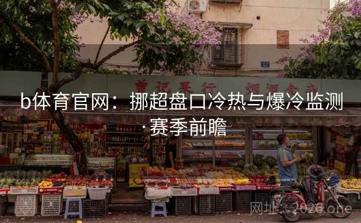 b体育官网：挪超盘口冷热与爆冷监测·赛季前瞻  第2张