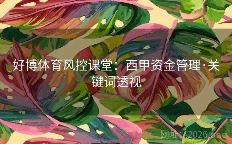好博体育风控课堂：西甲资金管理·关键词透视  第2张