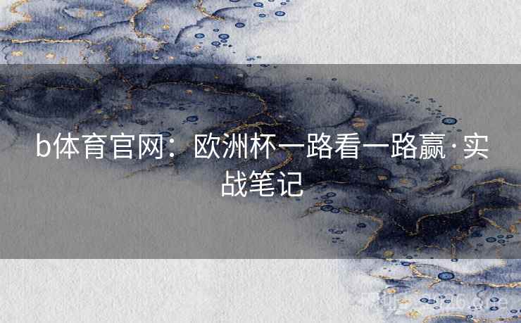 b体育官网：欧洲杯一路看一路赢·实战笔记  第1张