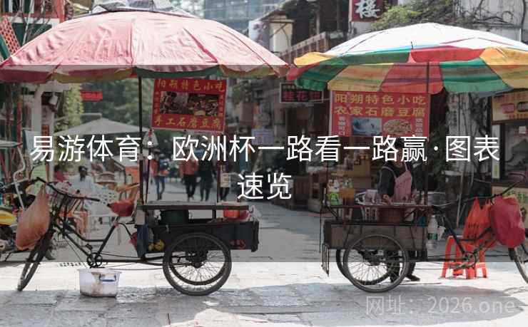 易游体育：欧洲杯一路看一路赢·图表速览  第1张