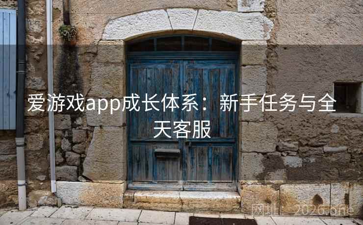 爱游戏app成长体系：新手任务与全天客服  第1张