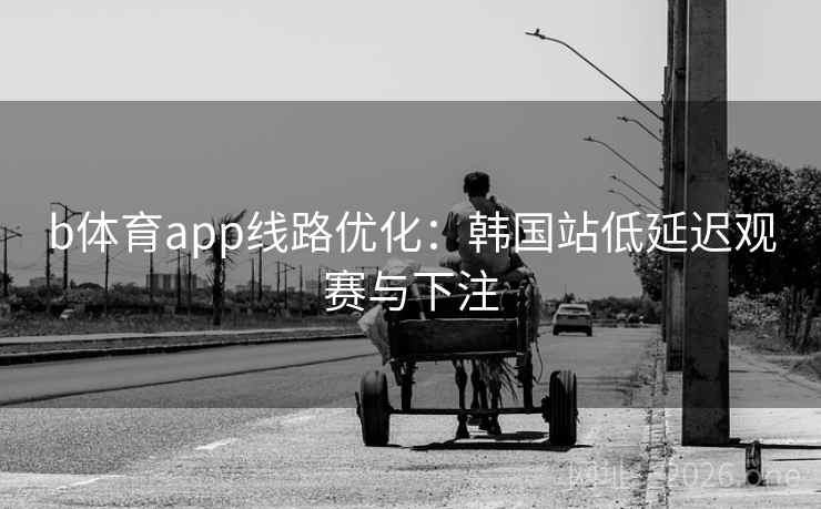 b体育app线路优化：韩国站低延迟观赛与下注  第1张