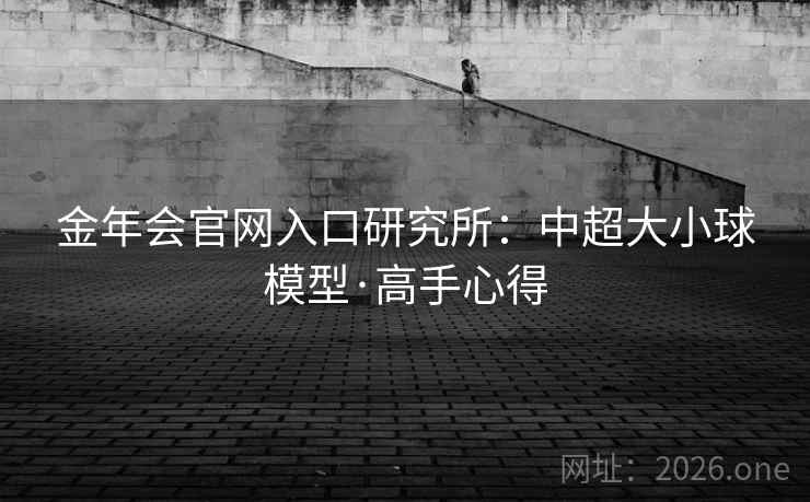 金年会官网入口研究所：中超大小球模型·高手心得  第2张