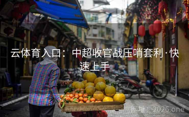 云体育入口：中超收官战压哨套利·快速上手  第2张