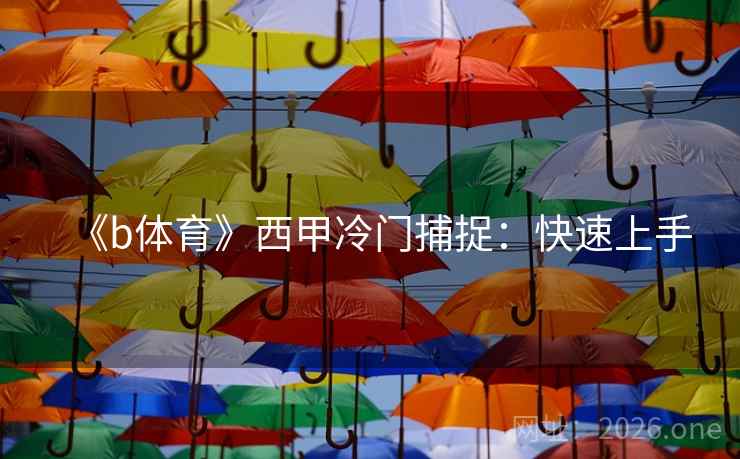 《b体育》西甲冷门捕捉：快速上手  第2张