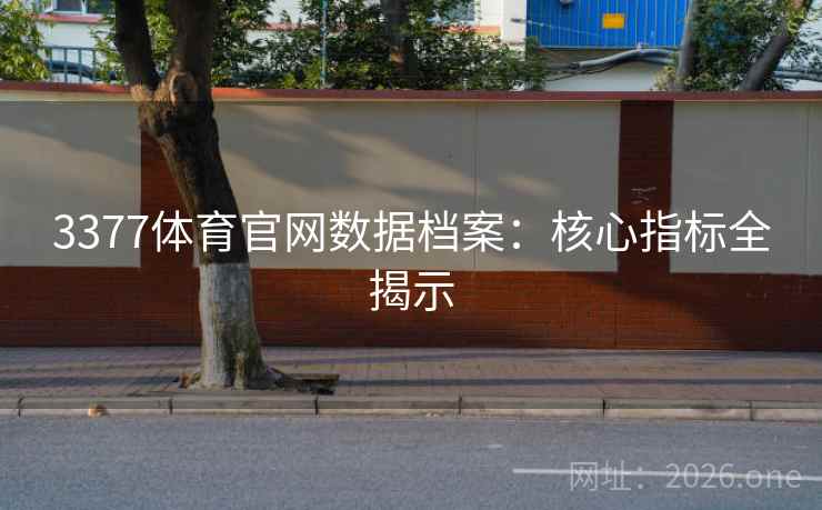 3377体育官网数据档案：核心指标全揭示  第1张