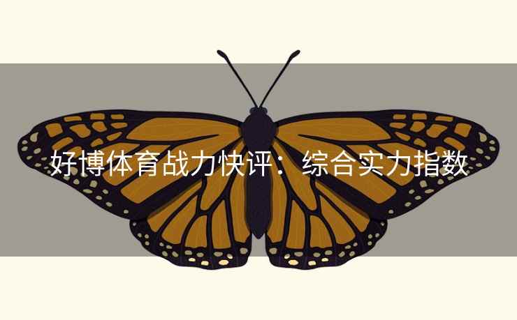 好博体育战力快评：综合实力指数  第1张
