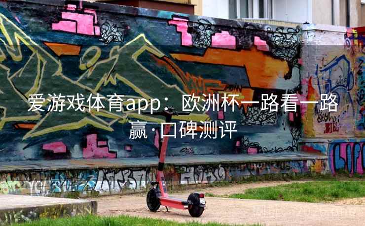 爱游戏体育app：欧洲杯一路看一路赢·口碑测评  第2张