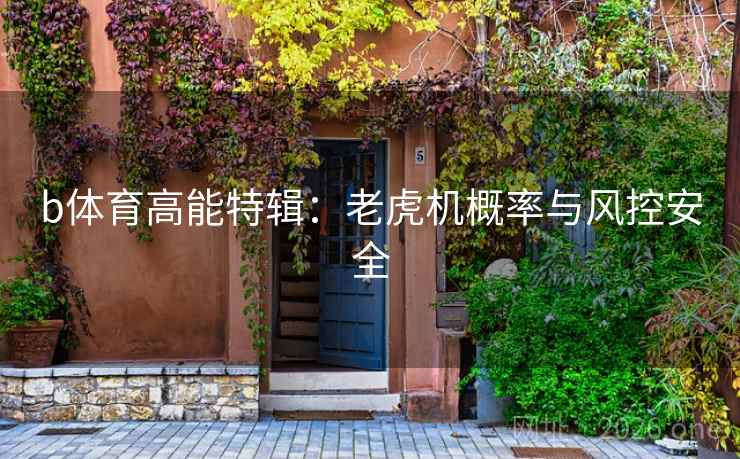 b体育高能特辑：老虎机概率与风控安全  第1张