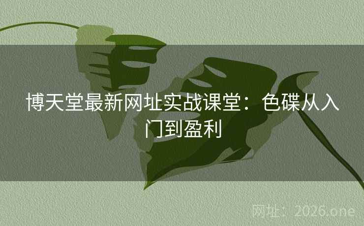 博天堂最新网址实战课堂：色碟从入门到盈利  第2张