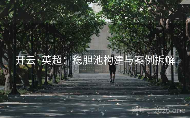 开云·英超：稳胆池构建与案例拆解  第1张