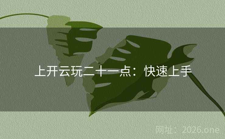 上开云玩二十一点：快速上手  第2张