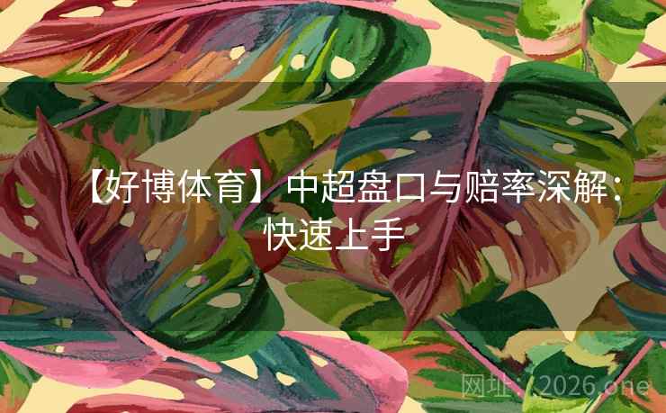 【好博体育】中超盘口与赔率深解：快速上手  第1张